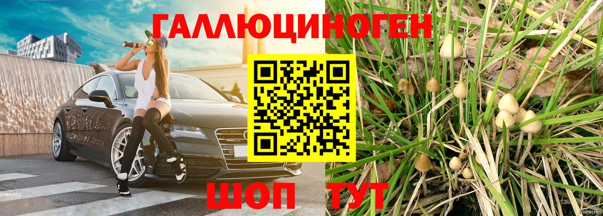 Галлюциногенные грибы Psilocybe Альметьевск