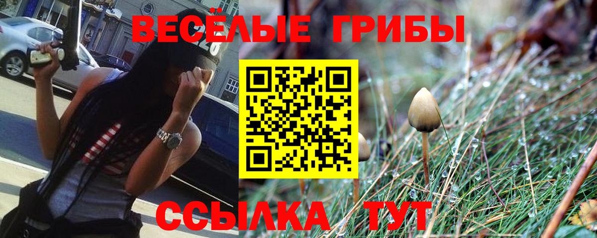Альметьевск  Галлюциногенные грибы MAGIC MUSHROOMS  Вход с VPN 